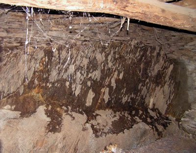 Back wall showing water ingress