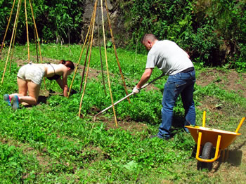 Ema and Chris working in the vegetable garden