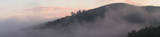 Dawn