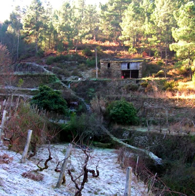 Levada