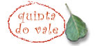 Quinta do Vale
