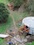 Yurt11