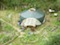 Yurt14