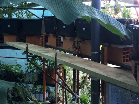 Aquaponics tanks around the top of the scaffolding