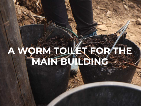 A worm toilet for the main building