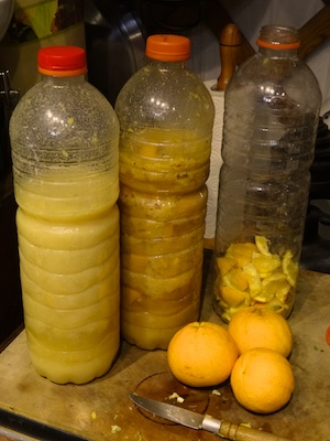 Fermented citrus cleaner in various stages of fermentation