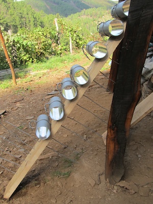 Mounting reflective tubes for bottle lights