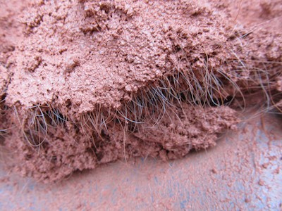 A close-up shows the horse hair is evenly incorporated