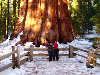 Martim and Tomas Anderson standing in front of the Giant sequoia General Sherman