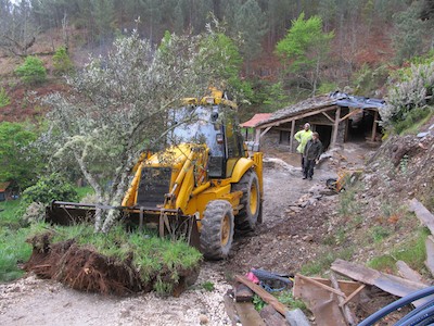 Digging up the olive tree