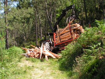 Wood for the yurt platform arrives at the quinta